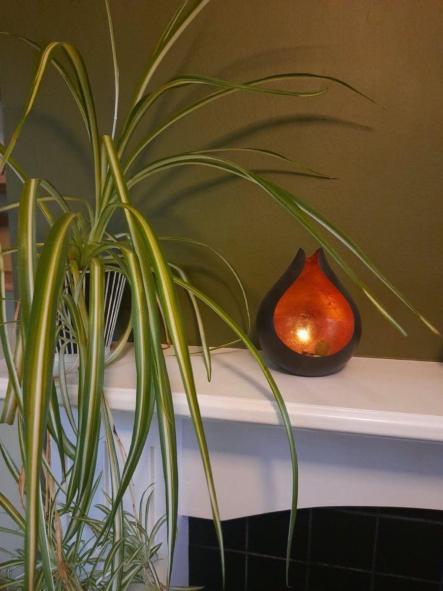 A spider plant and a copper tealight holder on the white mantelpiece against a green wall